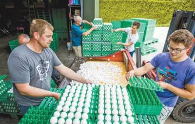 &ldquo;毒雞蛋&rdquo;大鬧歐洲?!別擔(dān)心,中國(guó)尚未從歐盟進(jìn)口禽蛋產(chǎn)品!