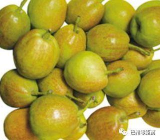 巴州特色農產品依托航空實現(xiàn)銷售突破