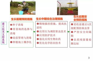 初級農(nóng)產(chǎn)品原料食品安全風(fēng)險(xiǎn) 農(nóng)藥管理