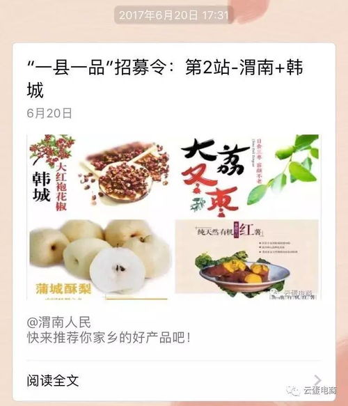 西北六省農(nóng)產(chǎn)品上行中心 揭牌, 一縣一品 項(xiàng)目持續(xù)推進(jìn)