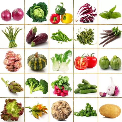 11月,宜昌優(yōu)質(zhì)農(nóng)產(chǎn)品產(chǎn)地及銷區(qū)批發(fā)市場(chǎng)價(jià)格信息參考