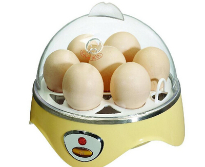 蒸蛋器使用與保養(yǎng)指南 實(shí)現(xiàn)高效便捷的廚房體驗(yàn)