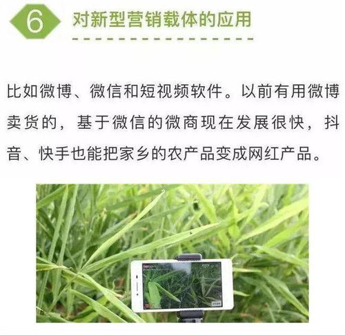 農(nóng)業(yè)七大新型營銷模式，學(xué)會(huì)一個(gè)家禽銷售就能賺不少